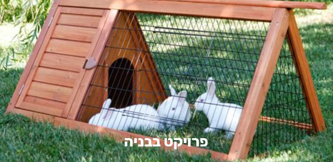 theraputic-pet-corner-for–cancer-patients-dream-project-at-zichron-menachem